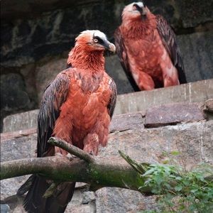 Meet your Posher, Sky